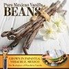 Villa Vainilla Mexican Vanilla Beans - All Natural, Whole Grade