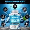 APEfuel Creatine Gummies for Men & Women - Sugar-Free Blueberry