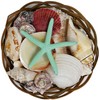 Beautiful Mixed Shell Basket - Basket of Shells - Starfish