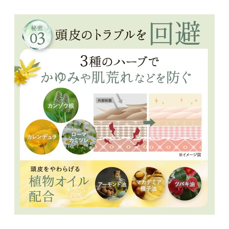 Rebena Organic Shampoo Treatment Refill Beauty Salon Exclusive Organic Shampoo