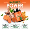 Turmeric Curcumin Supplement 2000mg - Nature's Joint & Immune Support,
