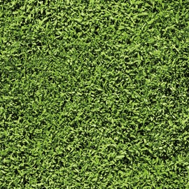 HelloWall 17.5"x317" Nature Green Grass Peel and Stick Wallpaper for Bedroom Backdrop Removable Self Adhesive Grassland Wallpaper Garden Green Grass Contact Paper Botanical Wall Paper for Accent Walls