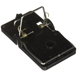 Big Snap E Rat Trap 6 Pack