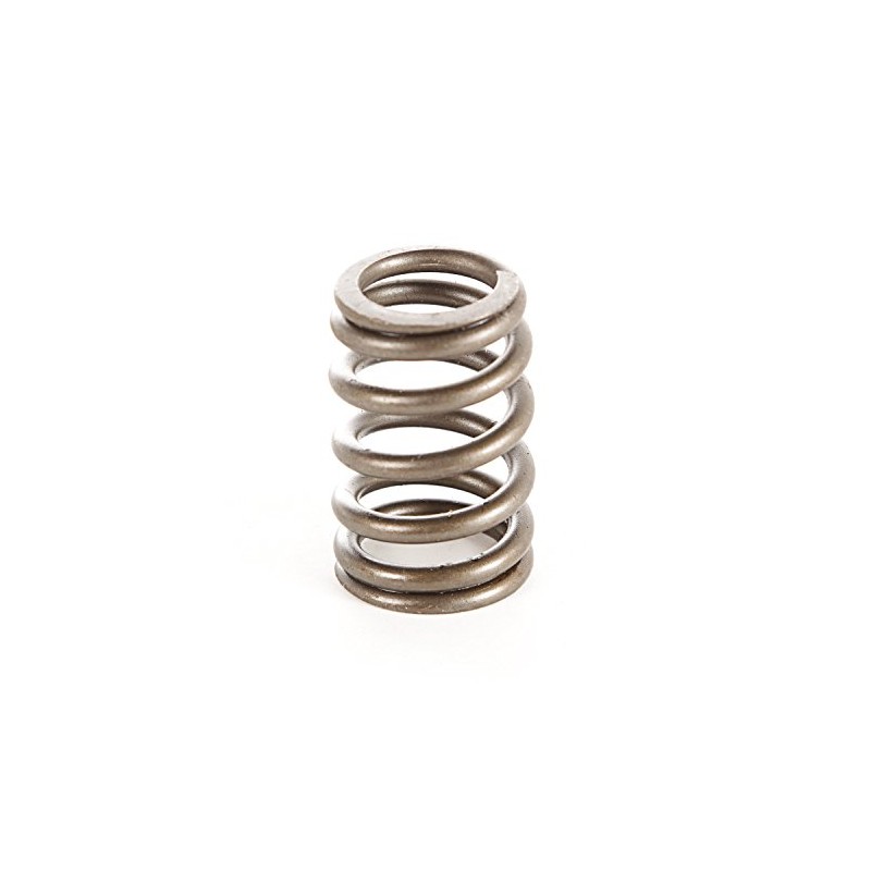 Omix-Ada | 17402.10 | Engine Valve Spring | OE Reference:
