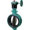 Tomoe Butterfly Valve 700Z2F65S13E