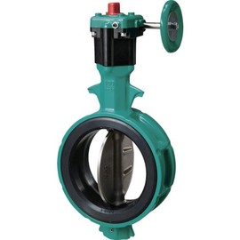 Tomoe Butterfly Valve 700Z2F65S13E