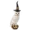K&K Interiors 41099A 14 Inch Owl with Witch Hat On