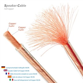 deleyCON 10 m Speaker Cable 2 x 1.5 mm² Pure Copper OFC Speaker Cable Audio Speaker Cable for HiFi Speakers & Surround Polarity Marking Transparent