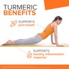 Qunol Turmeric Curcumin Supplement, Turmeric 1500mg With Ultra High Absorption,