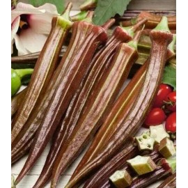 Fresh 100+ Red Burgundy Okra Seeds - NON GMO -- Heirloom -- FRESH