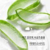 Innisfree [이니스프리]알로에 리바이탈라이징 수딩젤 [Innisfree] Aloe Revitalizing Soothing Gel