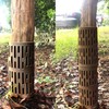 Tree Protection Trunk, 4 Pieces Tree Trunk Protection, Bark Protection,
