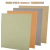 Paramount Pro-Tones All-Media Toned Canvas Panels 3-Pack - Triple-Primed 100%