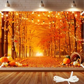 Fall Backdrop 7x5Ft Thanksgiving Backdrop Fall Backdrops for Photography Autumn Forest Maple Leaves Pumpkins Thanksgiving Photography Party Decor Photo Booth Props