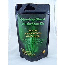 Forest Organics Glowing Ghost Mushroom Growing Log Kit (NOT Edible)
