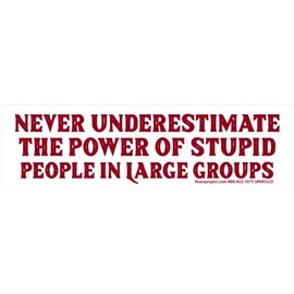 Never Underestimate The Power of Stupid People in Large Groups Small Magnetic Car Bumper Sticker Magnet Decal for Lockers Fridges Magnetic Surfaces 5.5-by-1.5 Inches (Magnetic Backing)