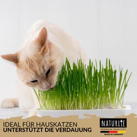Naturlie XXL 200g Premium Katzengras Samen Set: Saatgut für 80 Töpfe fertiges Katzengras - Saatgut für eine sanfte/weiche Katzenwiese - Premium Saatgut für Deine Katze