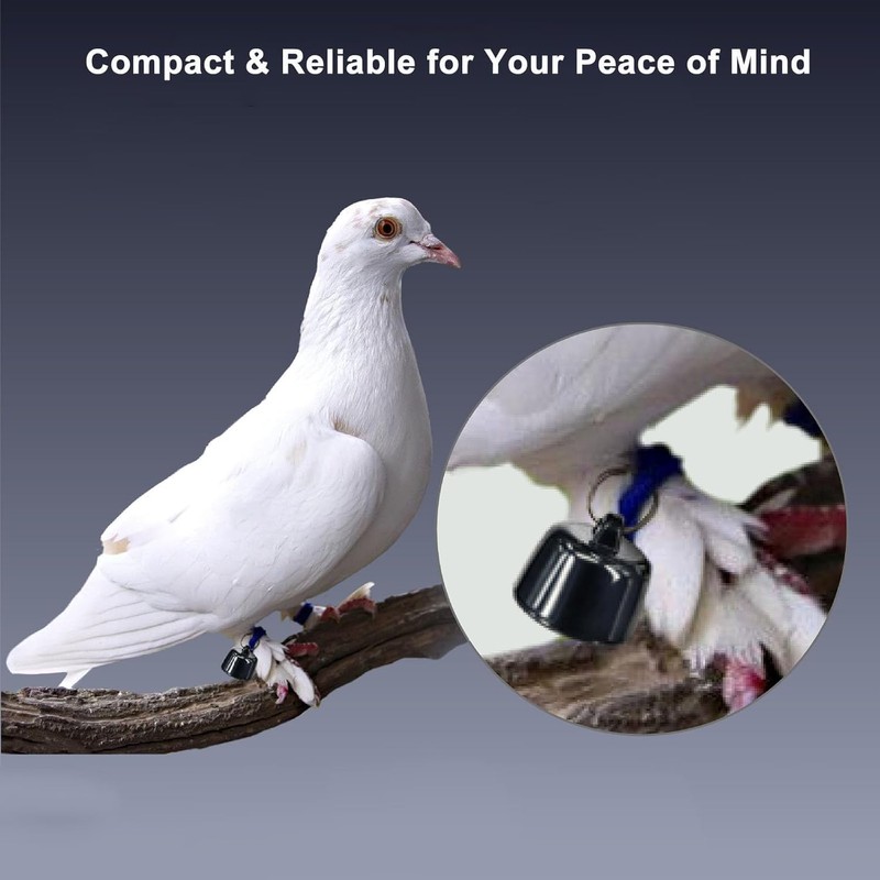 GPS Tracker Cat Dog, Pet Tracking Device for Dogs, Cats,