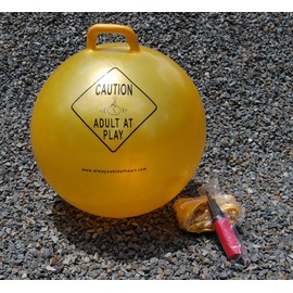 Adult at Play Exercise, Fitness and Stability Ball with Handle and Hand Air Pump