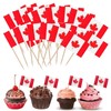 FEISHIONG Canadian Flag Toothpick Decorations, 200 PCS Party Cupcake Toppers