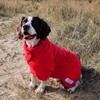 Mutt and Bailey Dog Drying Coat – Microfibre Towel Robe