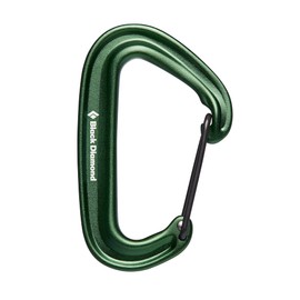 Black Diamond Mini Wire Carabiner Green