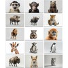 the lazy panda card company 64 Animal Postcards - Postcards