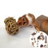 Roczential 11Pcs Hamster Toys Set Natural Wood Hamster Cage Accessories