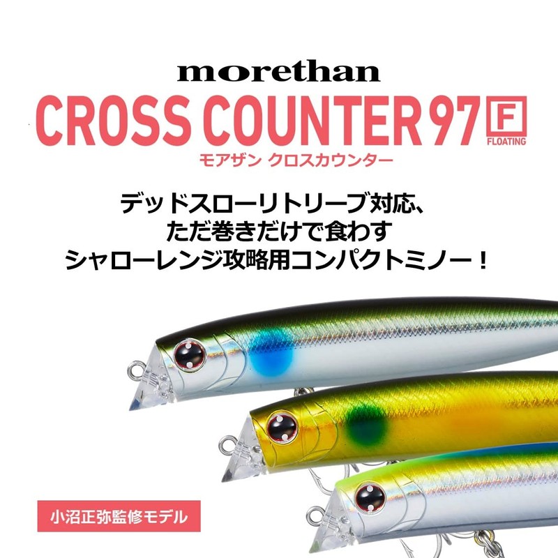 Daiwa 97F Morethan Cross Counter Sea Bass Minnow Anchovy Red