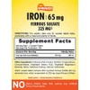 Sundance Iron Supplement Ferrous Sulfate 325mg | 100 Tablets |