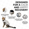 Bellyguard Cat Recovery Suit Female and Male, Comfy Onesie After
