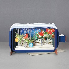 MESSAGE IN A BOTTLE ROBIN 3D P