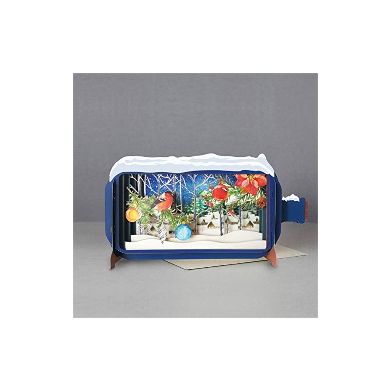 MESSAGE IN A BOTTLE ROBIN 3D P