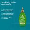 OGX, Tratamiento Extra Fuerte de Tea Tree y Menta, 4