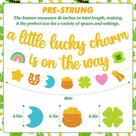 A little Lucky Charm is on the Way Banner St. Patrick Day Birthday Decoration Baby Shower Decor Lucky Rainbow Gender Reveal Party Supplies