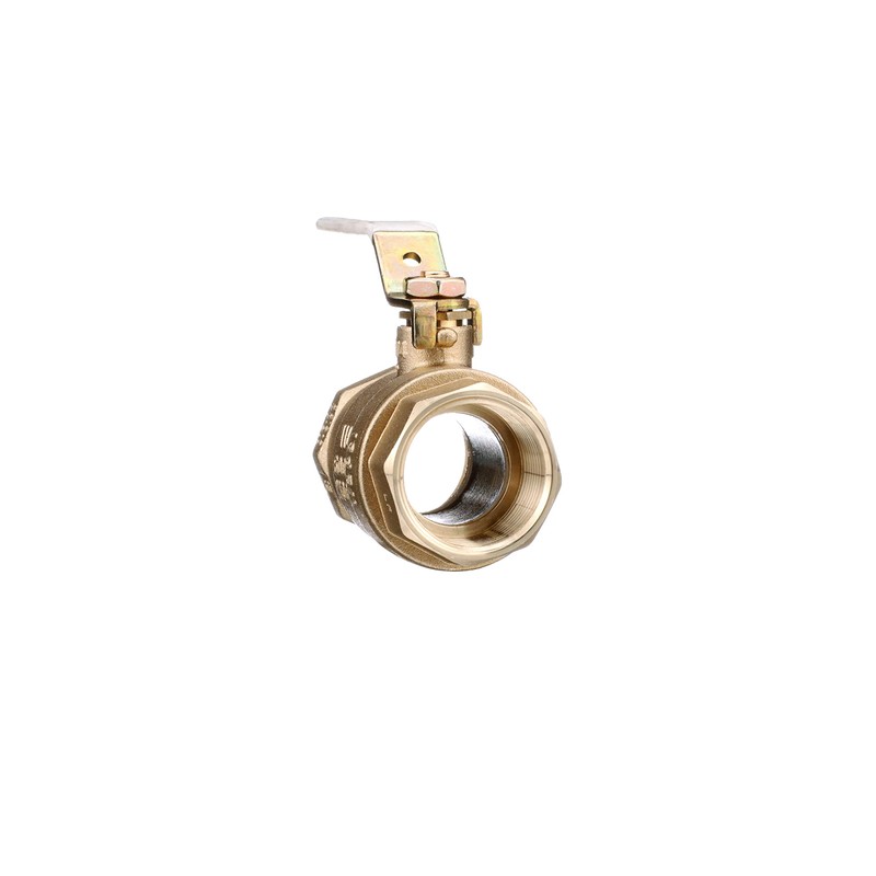 Watts LFFBV-3C-M1 Series 1" Lead-Free 2-Piece Full Port Chrome-Plated Brass
