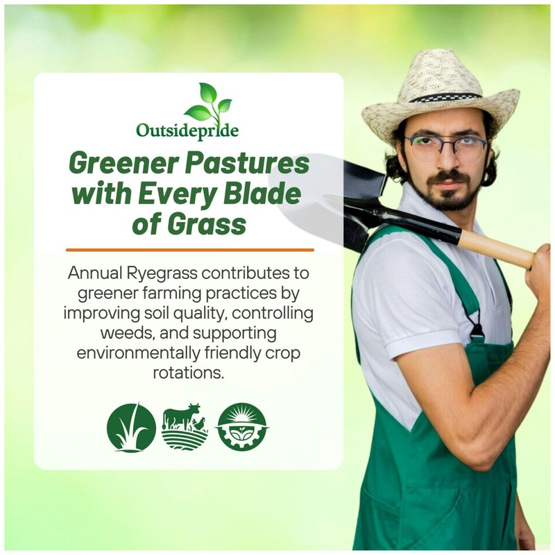 Outsidepride Ryegrass Seeds - 50 lb. Annual, Hardy & Fast-Growing,