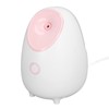 Face Steaming Machine Deep Cleansing Hydrating Hot Mist Face Humidifier