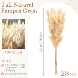 Knitgrip 28 Stems Pampas Grass Bulk 30 Inch Tall Pampas Grass Decor, Natural Dried Fluffy Pompas Floral for Floor Vase, Wedding Party Floral Arrangements, Farmhouse Boho Home Decor