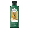 HERBAL ESSENCES Bio:Renew, Shampoo sin sulfatos ni parabenos para cabello