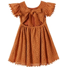 Niyage Tie-Back Toddler Dress Girls Lace Bow Backless Pom Pom Flutter Sleeves Party Princess Dresses Brick Red 110