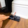 Mouse Trap by Eco Pro | 12-Pack Reusable Small Rodent