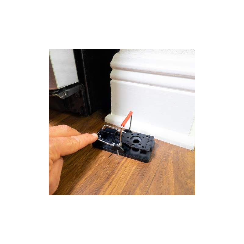 Mouse Trap by Eco Pro | 12-Pack Reusable Small Rodent