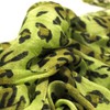 TrendsBlue Elegant Leopard Animal Print Scarf with Fringe, Olive Green