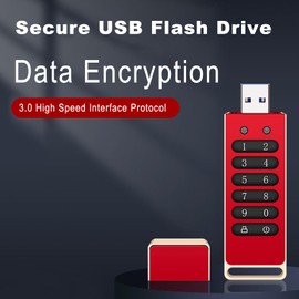 xinyee Encrypted USB Drive Secure USB Flash Drive 32GB / 64GB / 128GB / 256GB AES256-bit USB 3.0 Hardware Password Memory Stick Automatic Lock for Personal Protection Aluminum Alloy Shell with Encrypt