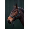 Posten Brisbane Headcollar Royal Blue Thoroughbred