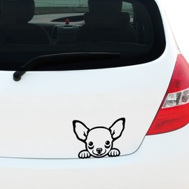 Peeking Chihuahua Vinyl Decal Sticker for Car Window Bumper Pet Dog Puppy, Caravan Sticker, Laptop Sticker, 180mm