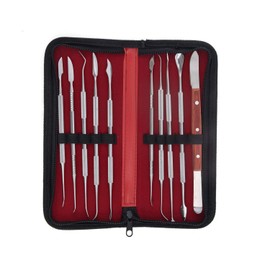 10 PCS Wax Carving Tools Dental Waxing Instruments with Case, Stainless Steel Wax Carvers Set - Metal Clay Sculpting Pottery Sculpture Tools - Double Ended DIY Waxing Modeling Kits