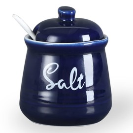 HAOTOP Farmhouse Porcelain Salt Bowl with Lid and Spoon 12oz,Easy to Clean (Navy)