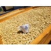 Alto Grande Premium Coffee Whole Bean - 2 Lbs (Pack